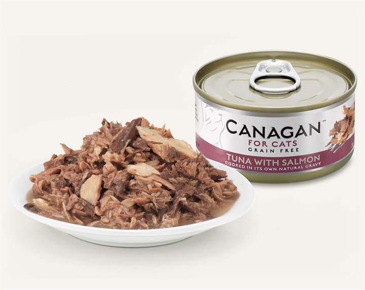 Canagan with Salmon 75gr | BeestachtigGoed